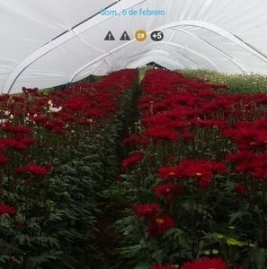 Meet your Posher, Alfonso